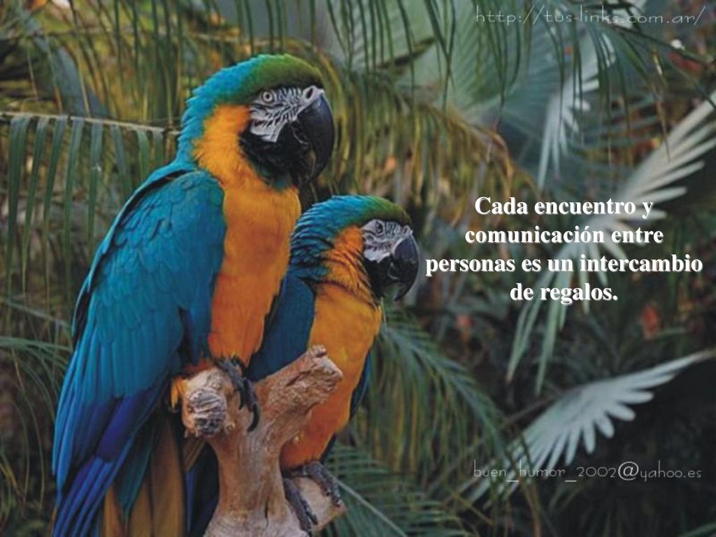 Cada encuentro y comunicación entre personas es un intercambio de regalos.