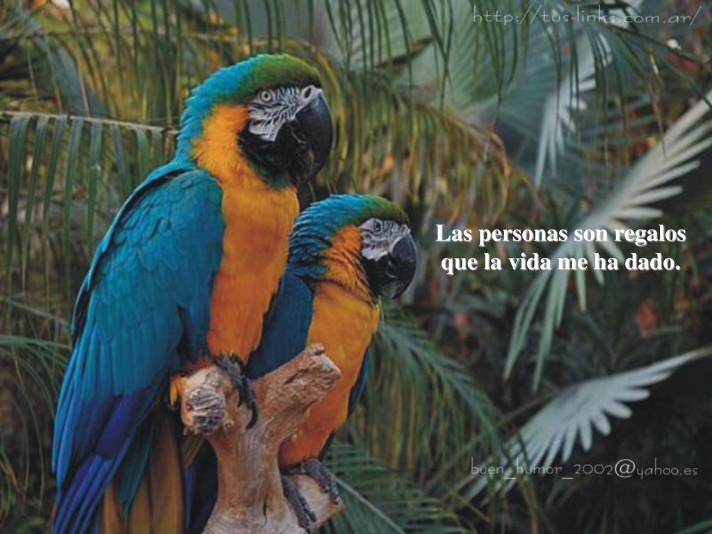 Las personas son regalos que la vida me ha dado.