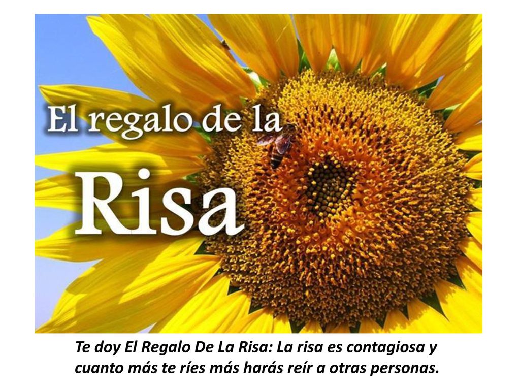 Te doy El Regalo De La Risa: La risa es contagiosa y cuanto más te ríes más harás reír a otras personas.