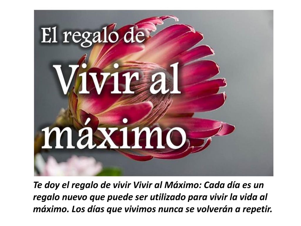Te doy el regalo de vivir Vivir al Máximo: Cada día es un regalo nuevo que puede ser utilizado para vivir la vida al máximo.