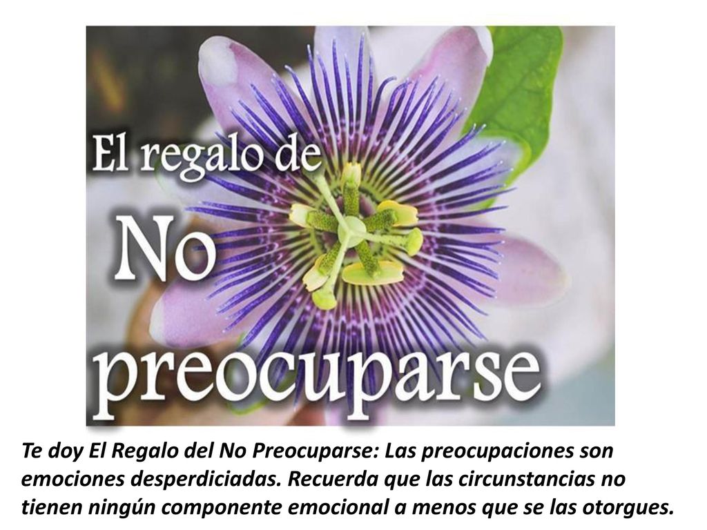 Te doy El Regalo del No Preocuparse: Las preocupaciones son emociones desperdiciadas.