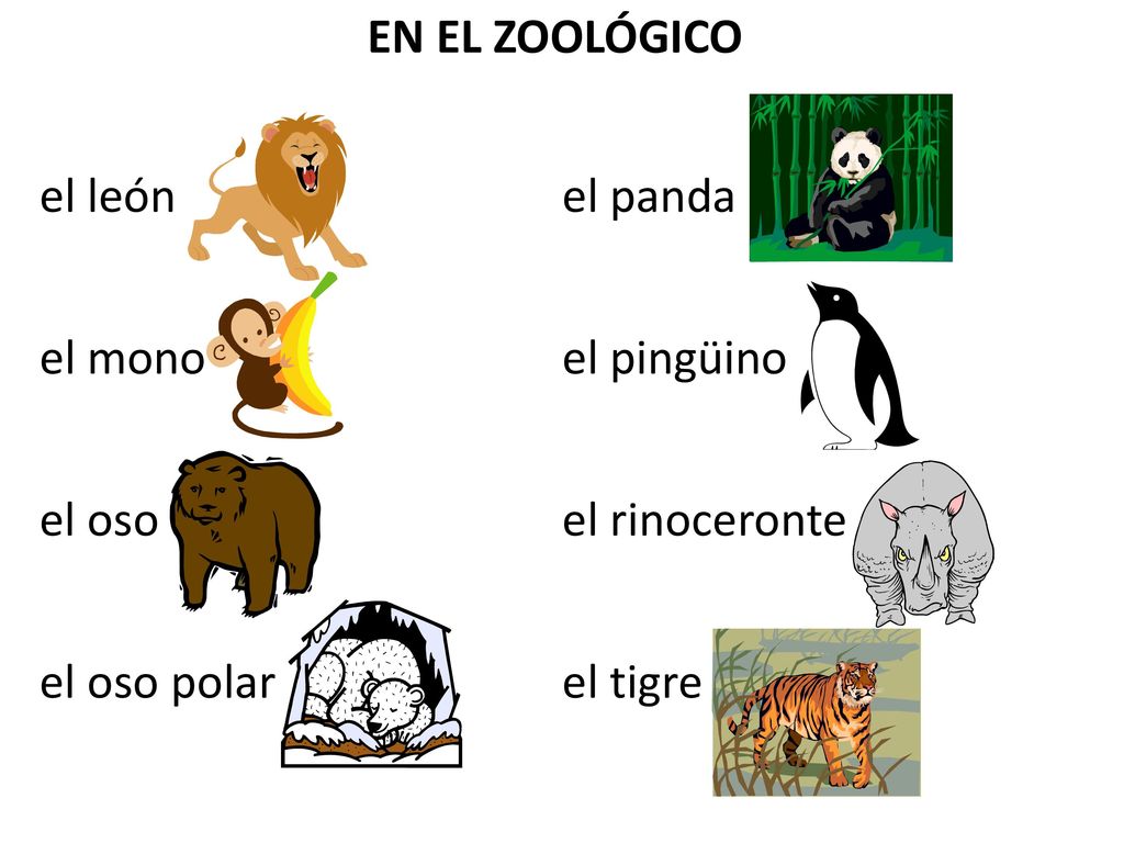 EN EL ZOOLÓGICO el león el panda el mono el pingüino el oso el rinoceronte el oso polar el tigre
