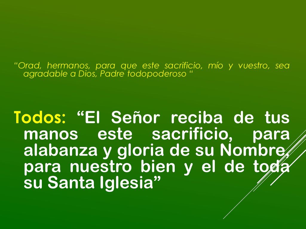 Orad, hermanos, para que este sacrificio, mío y vuestro, sea agradable a Dios, Padre todopoderoso