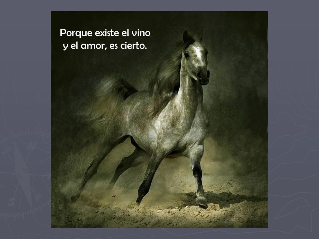 Porque existe el vino y el amor, es cierto.