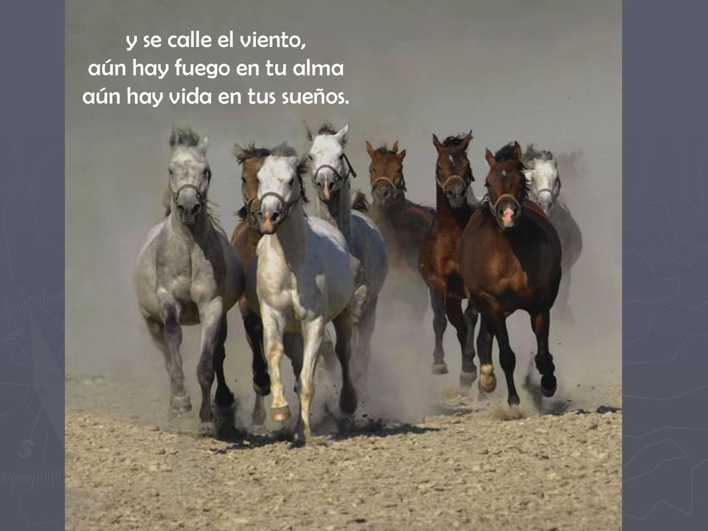 y se calle el viento, aún hay fuego en tu alma aún hay vida en tus sueños.