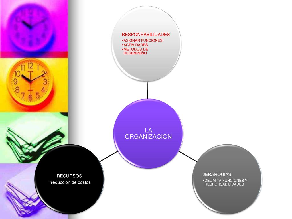 LA ORGANIZACION RESPONSABILIDADES. ASIGNAR FUNCIONES. ACTIVIDADES. METODOS DE DESEMPEÑO. JERARQUIAS.