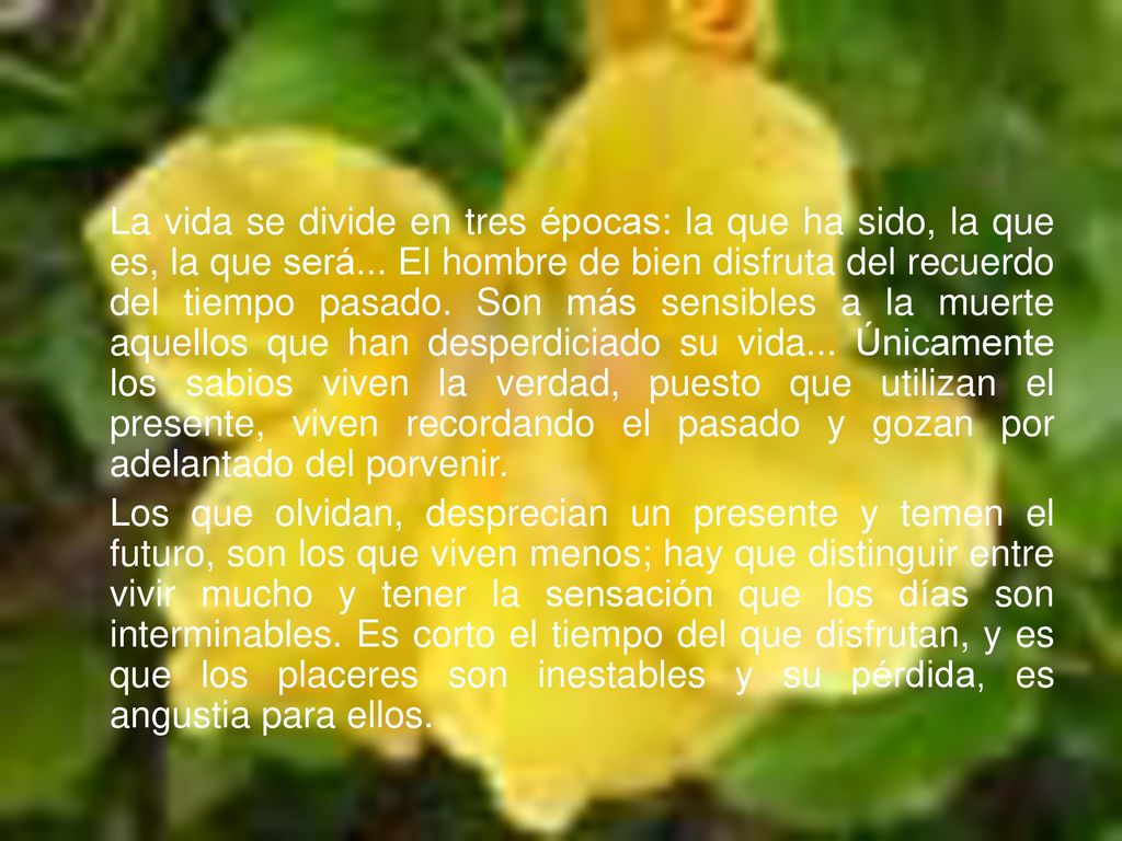 La vida se divide en tres épocas: la que ha sido, la que es, la que será... El hombre de bien disfruta del recuerdo del tiempo pasado. Son más sensibles a la muerte aquellos que han desperdiciado su vida... Únicamente los sabios viven la verdad, puesto que utilizan el presente, viven recordando el pasado y gozan por adelantado del porvenir.