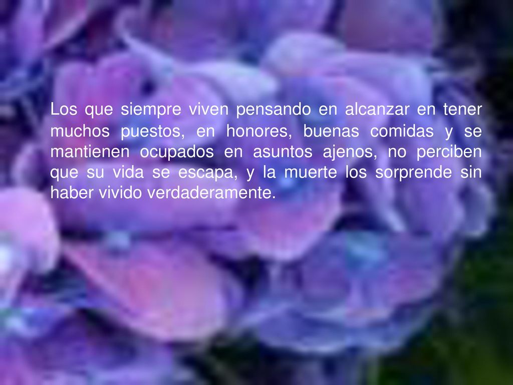 Los que siempre viven pensando en alcanzar en tener muchos puestos, en honores, buenas comidas y se mantienen ocupados en asuntos ajenos, no perciben que su vida se escapa, y la muerte los sorprende sin haber vivido verdaderamente.
