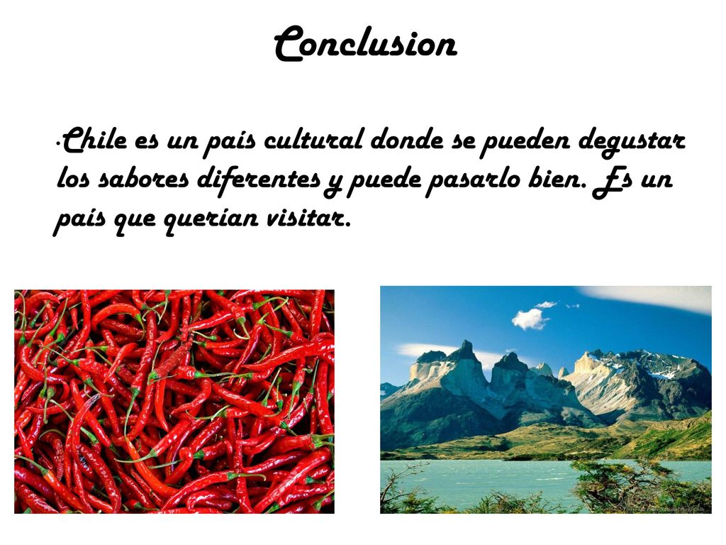 Conclusion Chile es un país cultural donde se pueden degustar los sabores diferentes y puede pasarlo bien.