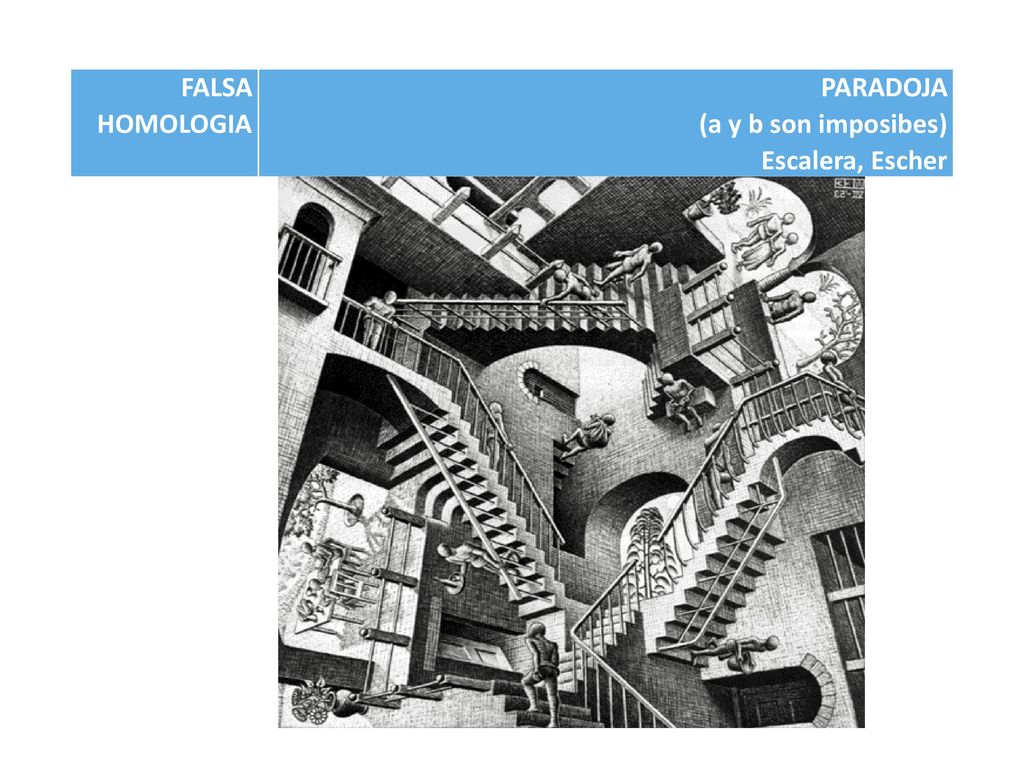 FALSA HOMOLOGIA PARADOJA (a y b son imposibes) Escalera, Escher