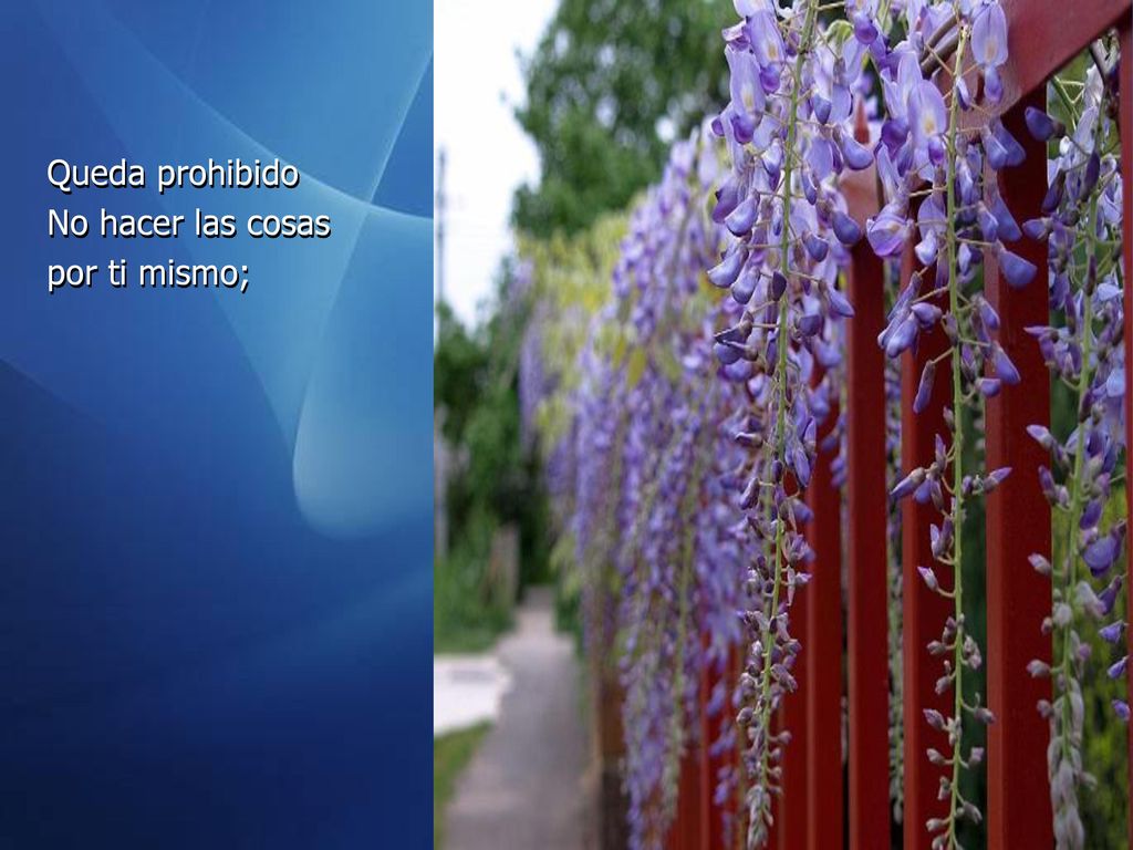 Queda prohibido No hacer las cosas por ti mismo;