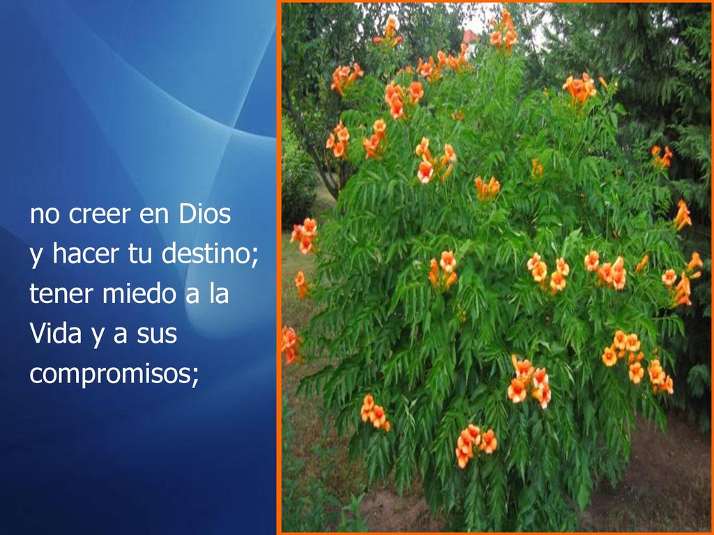 no creer en Dios y hacer tu destino; tener miedo a la Vida y a sus compromisos;
