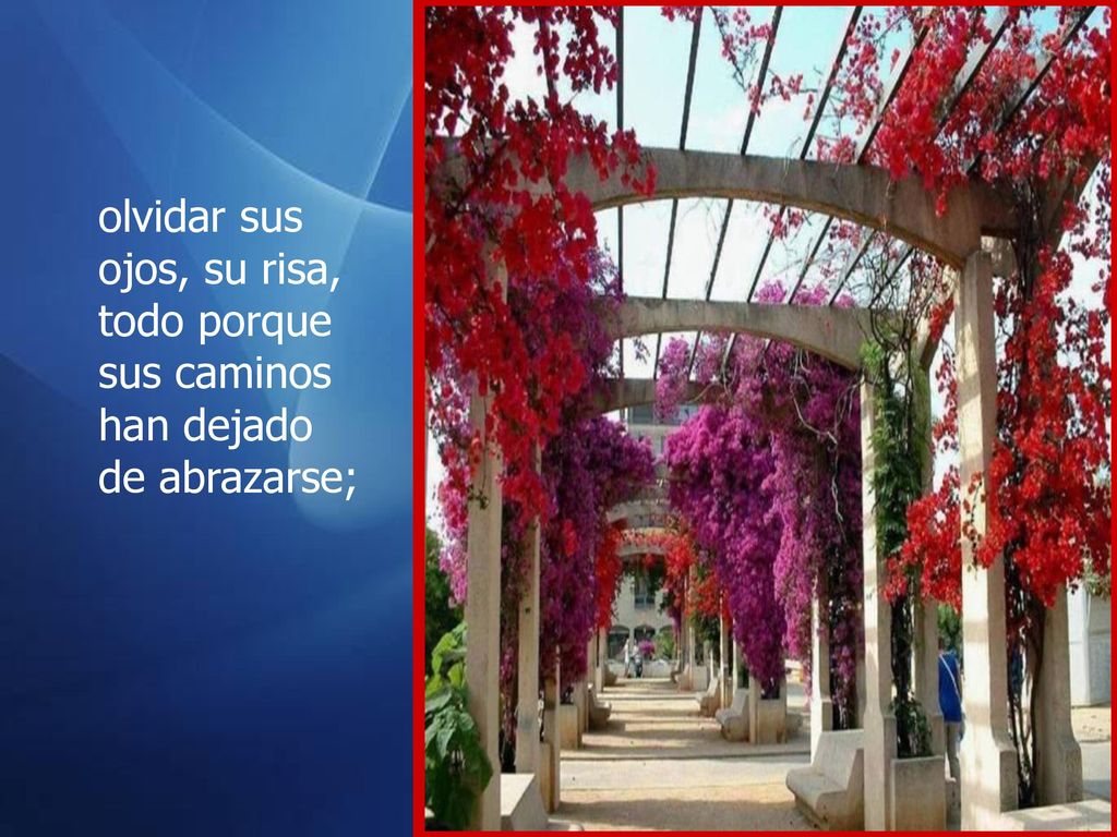 olvidar sus ojos, su risa, todo porque sus caminos han dejado de abrazarse;