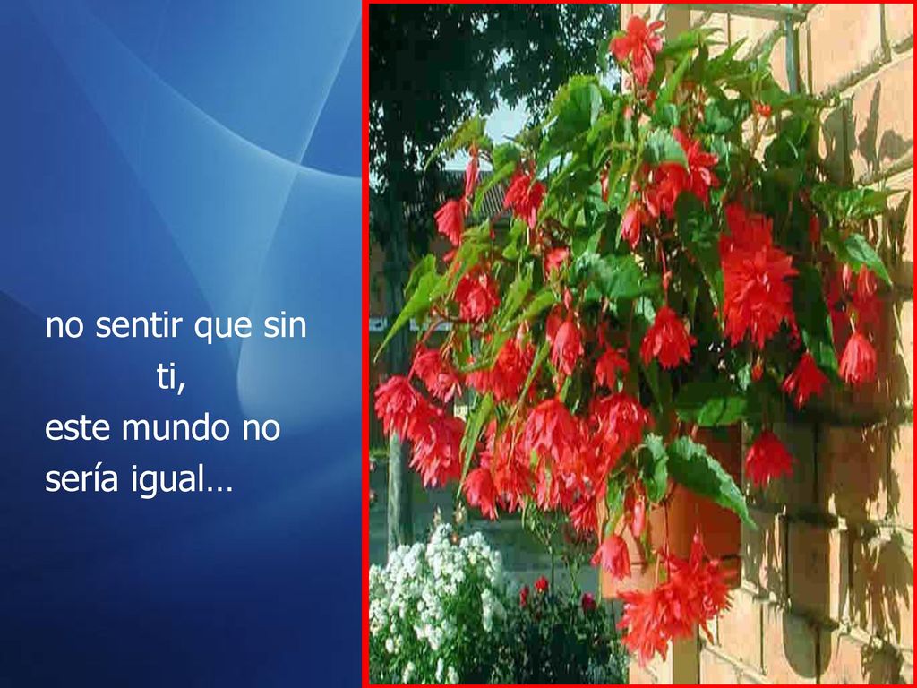 no sentir que sin ti, este mundo no sería igual…