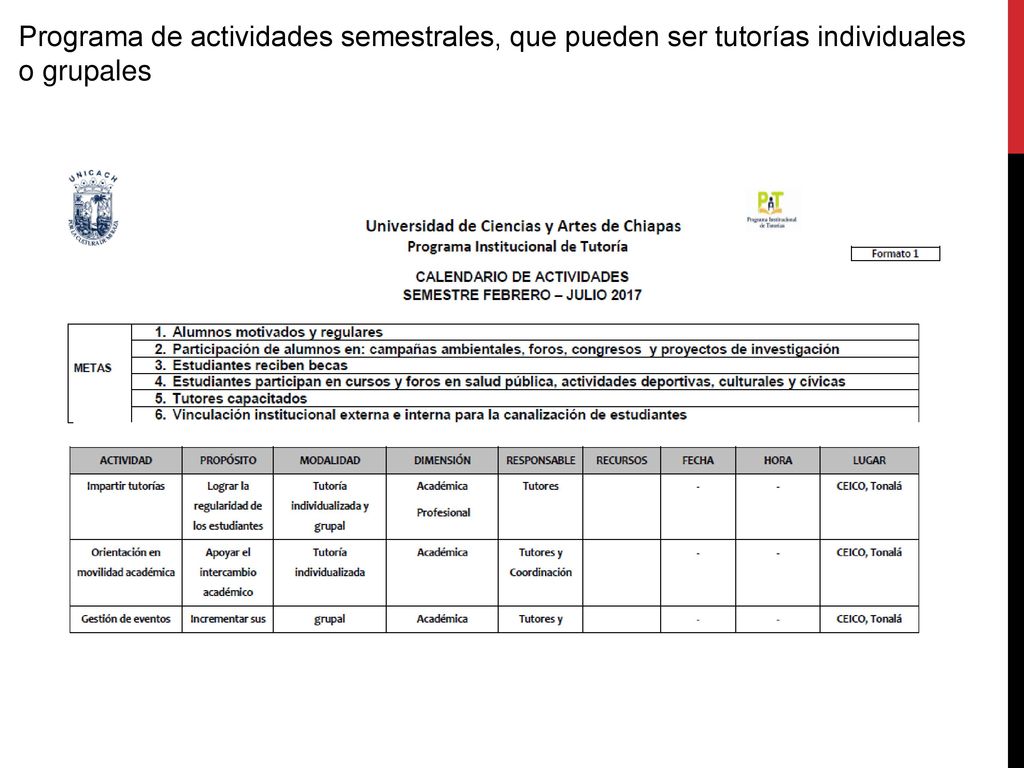 Programa de actividades semestrales, que pueden ser tutorías individuales o grupales