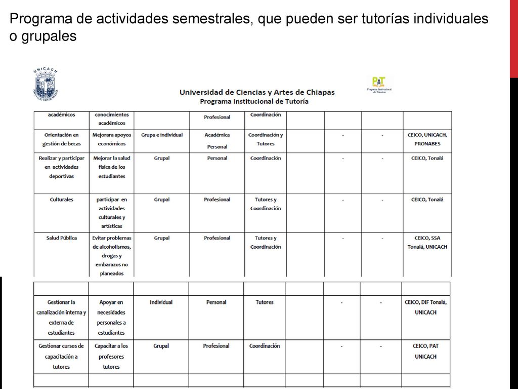 Programa de actividades semestrales, que pueden ser tutorías individuales o grupales