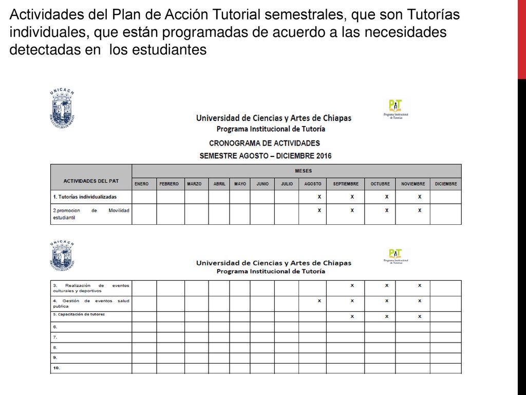 Actividades del Plan de Acción Tutorial semestrales, que son Tutorías individuales, que están programadas de acuerdo a las necesidades detectadas en los estudiantes