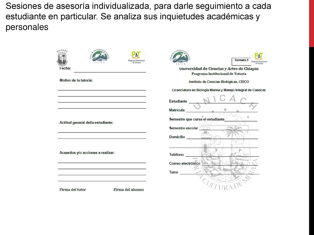 Sesiones de asesoría individualizada, para darle seguimiento a cada estudiante en particular.