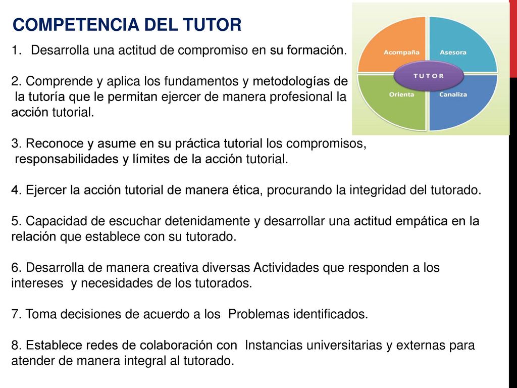 COMPETENCIA DEL TUTOR Desarrolla una actitud de compromiso en su formación. 2. Comprende y aplica los fundamentos y metodologías de.