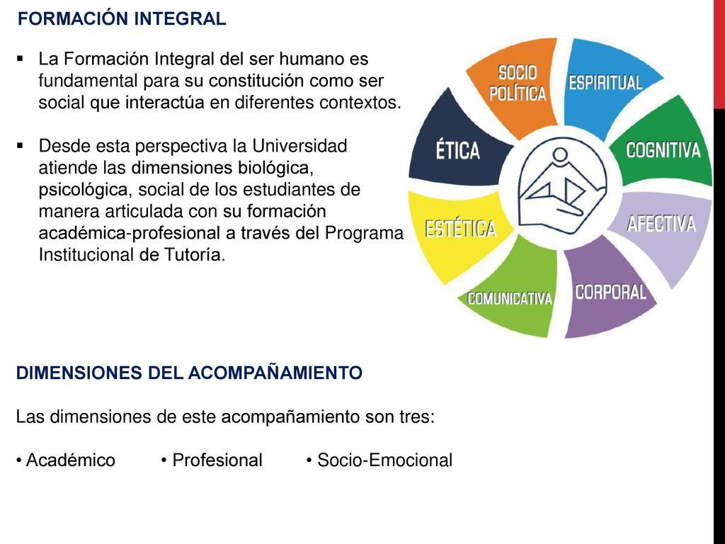 FORMACIÓN INTEGRAL La Formación Integral del ser humano es fundamental para su constitución como ser social que interactúa en diferentes contextos.