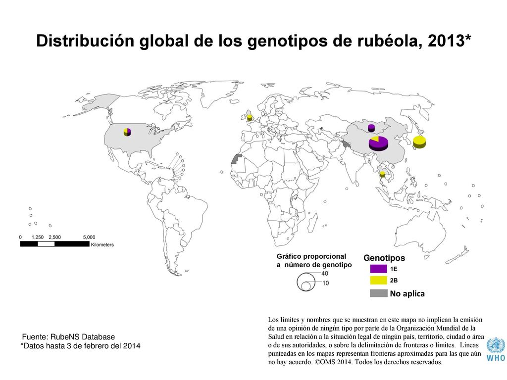 Distribución global de los genotipos de rubéola, 2013*
