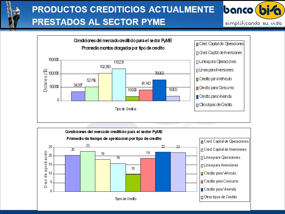 PRODUCTOS CREDITICIOS ACTUALMENTE PRESTADOS AL SECTOR PYME