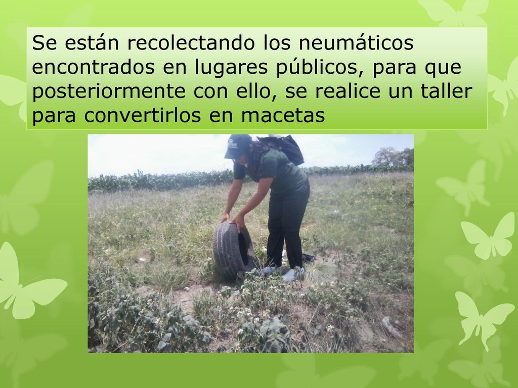 Se están recolectando los neumáticos encontrados en lugares públicos, para que posteriormente con ello, se realice un taller para convertirlos en macetas