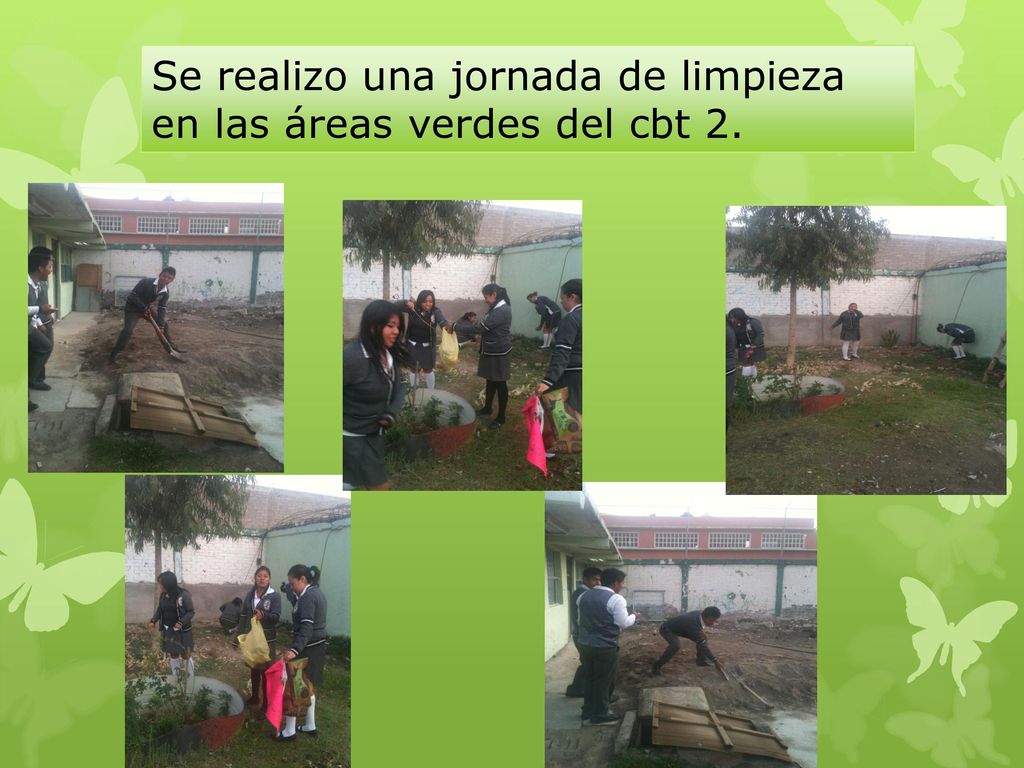 Se realizo una jornada de limpieza en las áreas verdes del cbt 2.