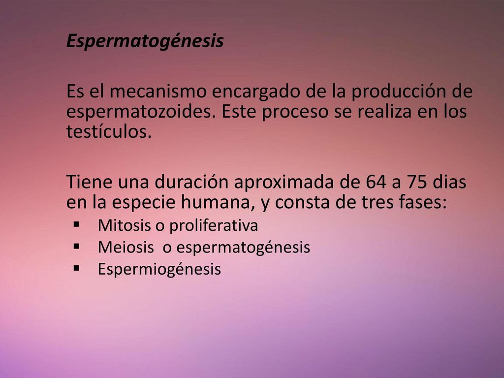 Espermatogénesis Es el mecanismo encargado de la producción de espermatozoides. Este proceso se realiza en los testículos.