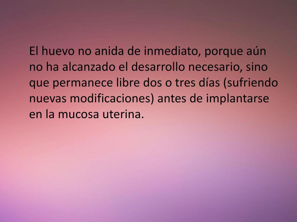 El huevo no anida de inmediato, porque aún no ha alcanzado el desarrollo necesario, sino que permanece libre dos o tres días (sufriendo nuevas modificaciones) antes de implantarse en la mucosa uterina.