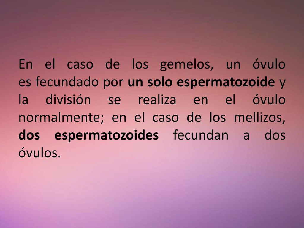 En el caso de los gemelos, un óvulo es fecundado por un solo espermatozoide y la división se realiza en el óvulo normalmente; en el caso de los mellizos, dos espermatozoides fecundan a dos óvulos.