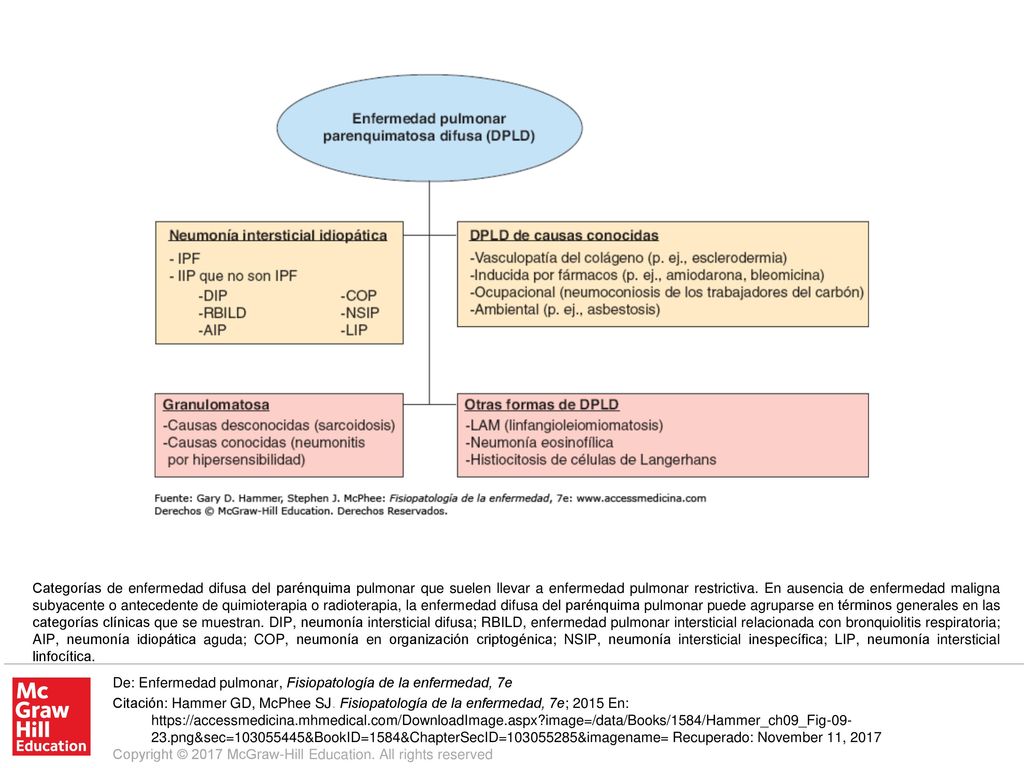 Categorías de enfermedad difusa del parénquima pulmonar que suelen llevar a enfermedad pulmonar restrictiva. En ausencia de enfermedad maligna subyacente o antecedente de quimioterapia o radioterapia, la enfermedad difusa del parénquima pulmonar puede agruparse en términos generales en las categorías clínicas que se muestran. DIP, neumonía intersticial difusa; RBILD, enfermedad pulmonar intersticial relacionada con bronquiolitis respiratoria; AIP, neumonía idiopática aguda; COP, neumonía en organización criptogénica; NSIP, neumonía intersticial inespecífica; LIP, neumonía intersticial linfocítica.