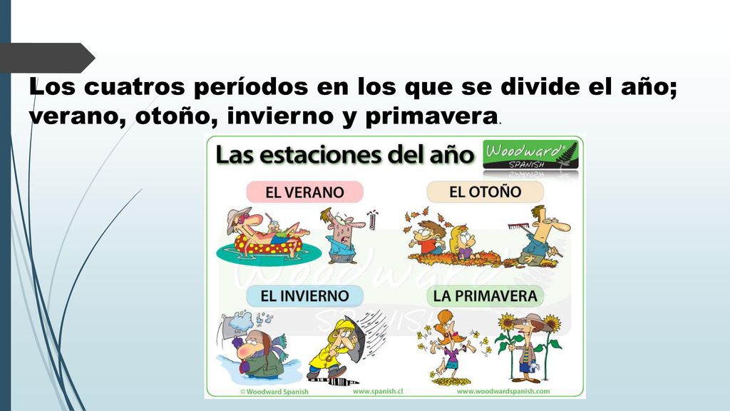 Los cuatros períodos en los que se divide el año; verano, otoño, invierno y primavera.