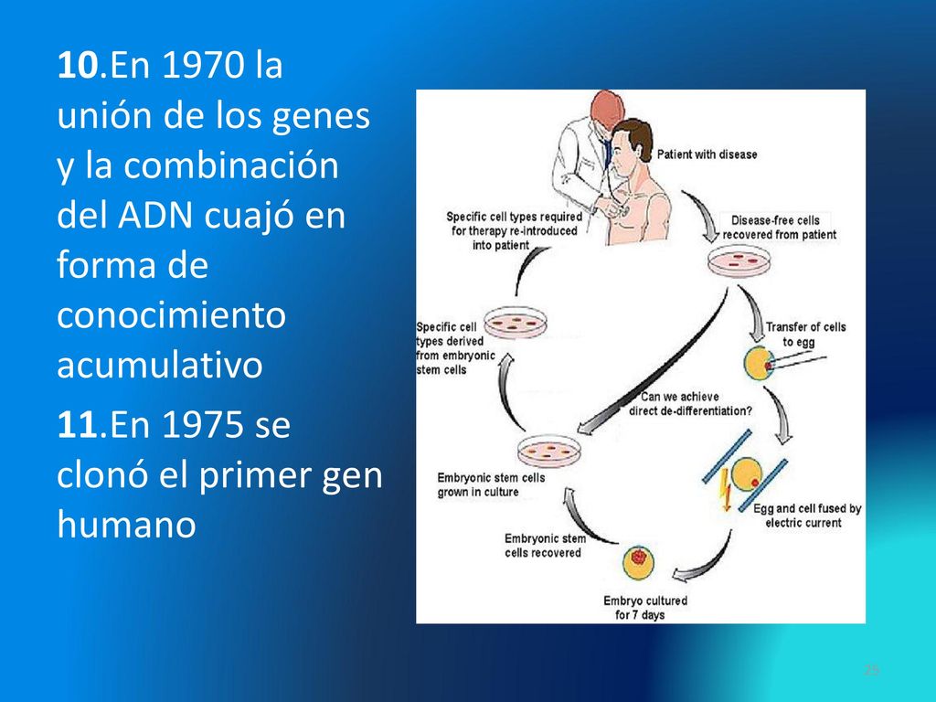 10.En 1970 la unión de los genes y la combinación del ADN cuajó en forma de conocimiento acumulativo