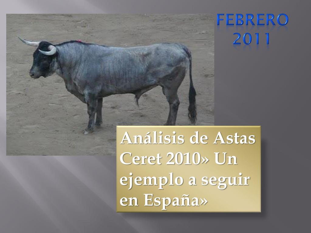 Análisis de Astas Ceret 2010» Un ejemplo a seguir en España»