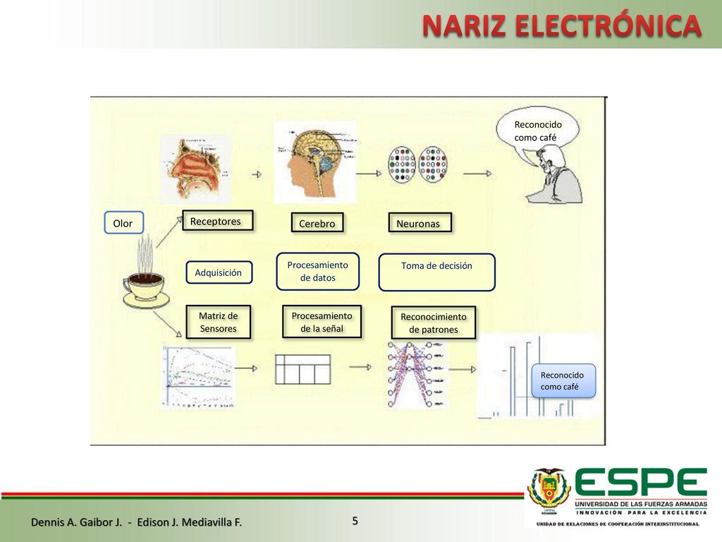 NARIZ ELECTRÓNICA Dennis A. Gaibor J. - Edison J. Mediavilla F. 5 Olor
