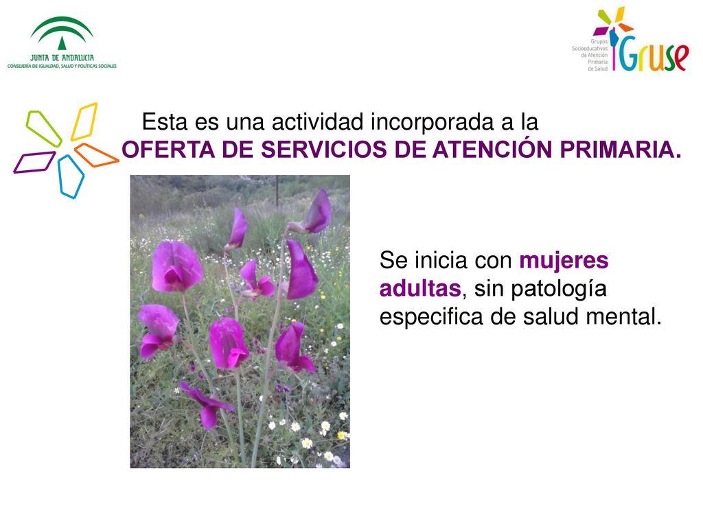 Esta es una actividad incorporada a la
