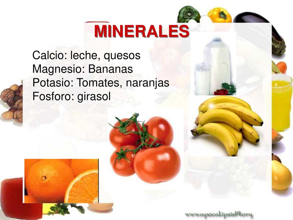 MINERALES Calcio: leche, quesos Magnesio: Bananas Potasio: Tomates, naranjas Fosforo: girasol