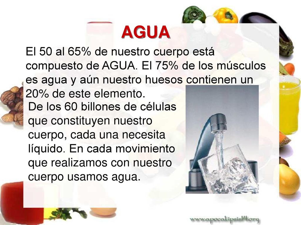 AGUA El 50 al 65% de nuestro cuerpo está compuesto de AGUA. El 75% de los músculos es agua y aún nuestro huesos contienen un 20% de este elemento.