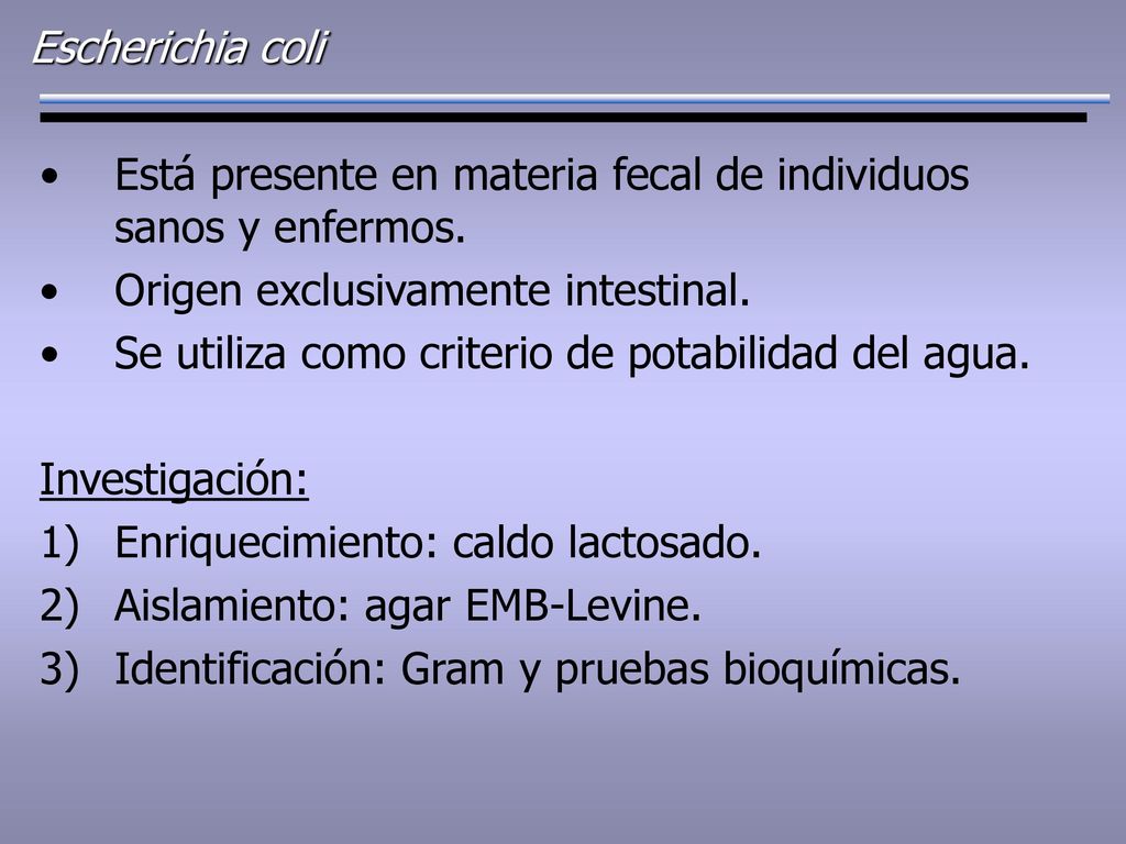 Escherichia coli Está presente en materia fecal de individuos sanos y enfermos. Origen exclusivamente intestinal.