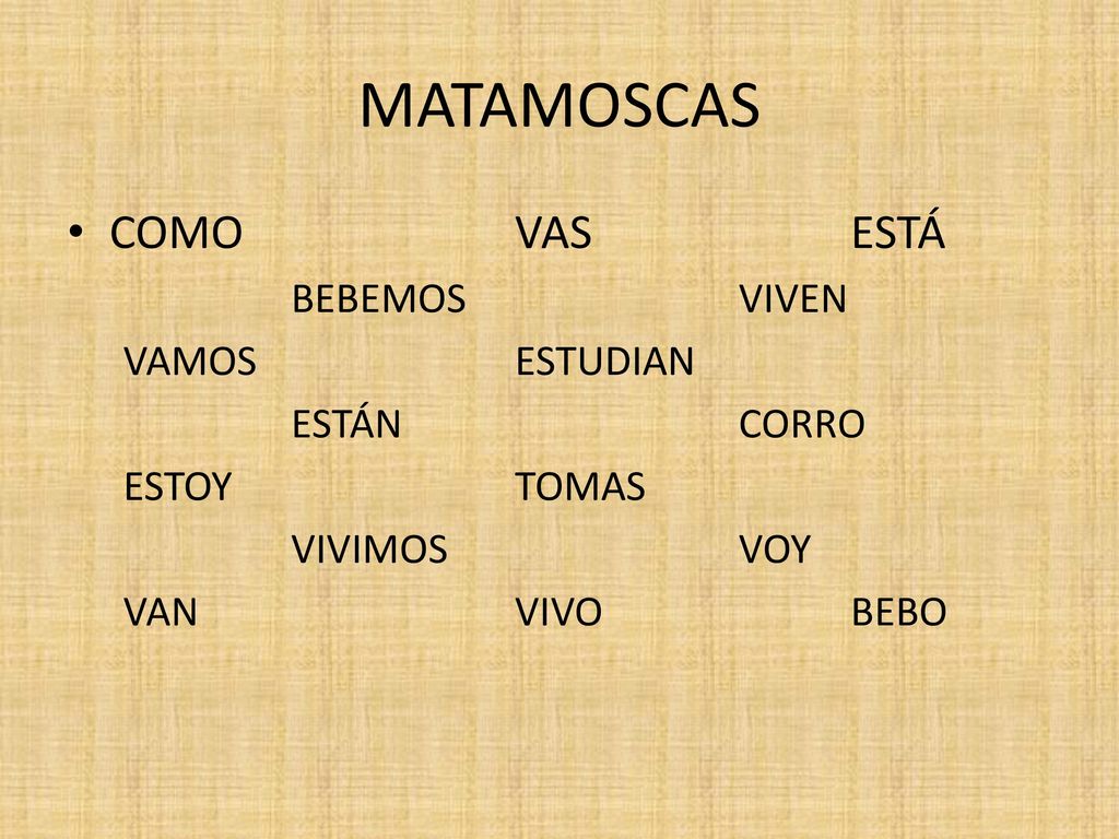 MATAMOSCAS COMO VAS ESTÁ BEBEMOS VIVEN VAMOS ESTUDIAN ESTÁN CORRO