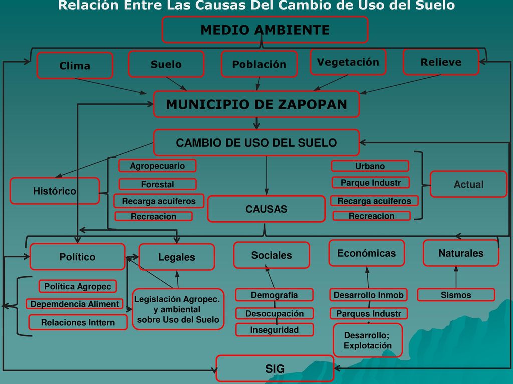 Relación Entre Las Causas Del Cambio de Uso del Suelo