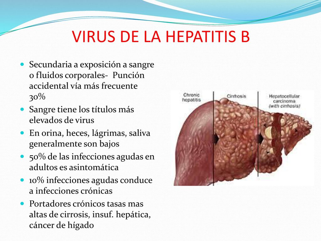 VIRUS DE LA HEPATITIS B Secundaria a exposición a sangre o fluidos corporales- Punción accidental vía más frecuente 30%