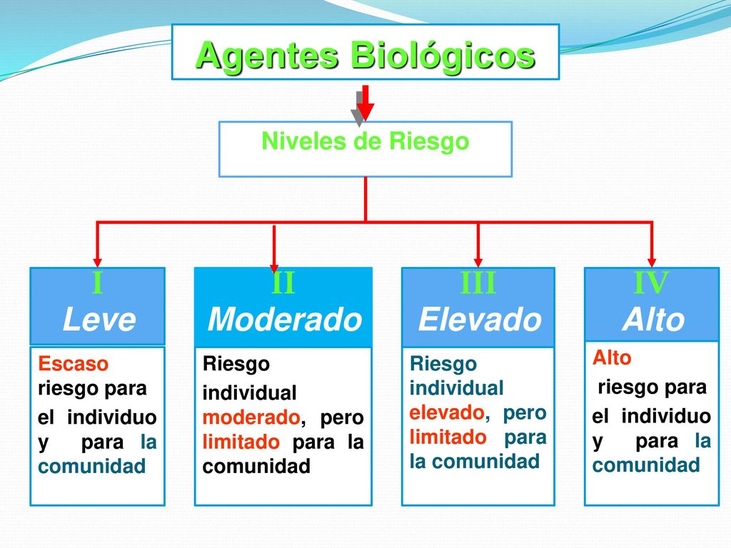 Agentes Biológicos I Leve II Moderado III Elevado IV Alto