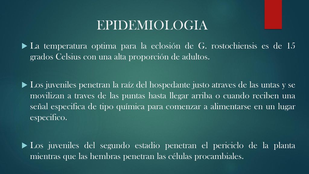 EPIDEMIOLOGIA La temperatura optima para la eclosión de G. rostochiensis es de 15 grados Celsius con una alta proporción de adultos.