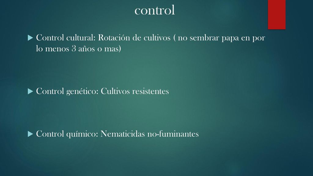 control Control cultural: Rotación de cultivos ( no sembrar papa en por lo menos 3 años o mas) Control genético: Cultivos resistentes.