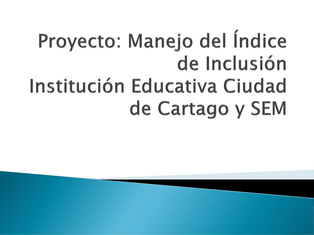 Proyecto: Manejo del Índice de Inclusión Institución Educativa Ciudad de Cartago y SEM