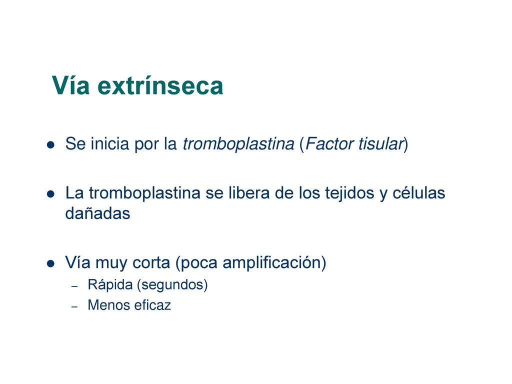 Vía extrínseca Se inicia por la tromboplastina (Factor tisular)