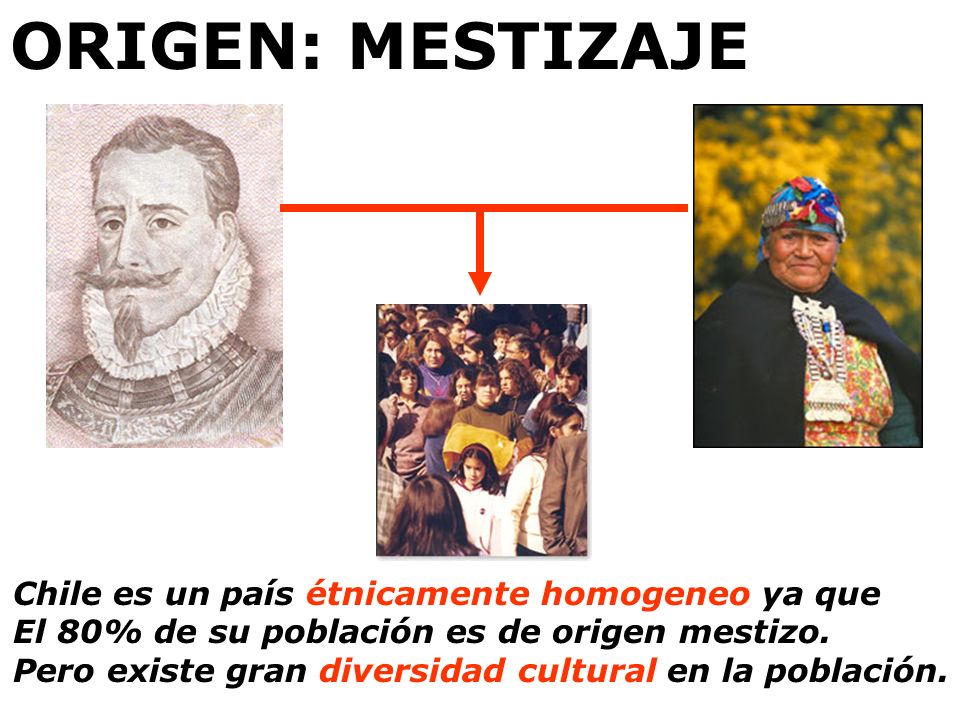 ORIGEN: MESTIZAJE Chile es un país étnicamente homogeneo ya que