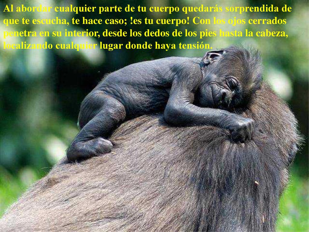 Al abordar cualquier parte de tu cuerpo quedarás sorprendida de que te escucha, te hace caso; !es tu cuerpo.